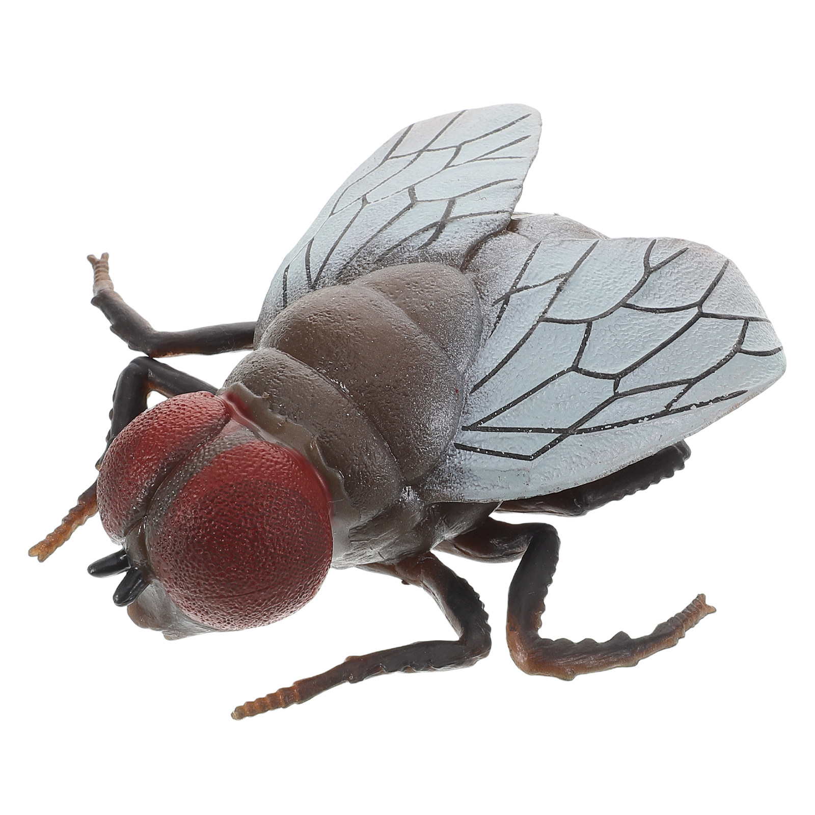 子供向けのリアルなハエのおもちゃ – 生物のライフサイクルを - Prank Toys のレビューと価格