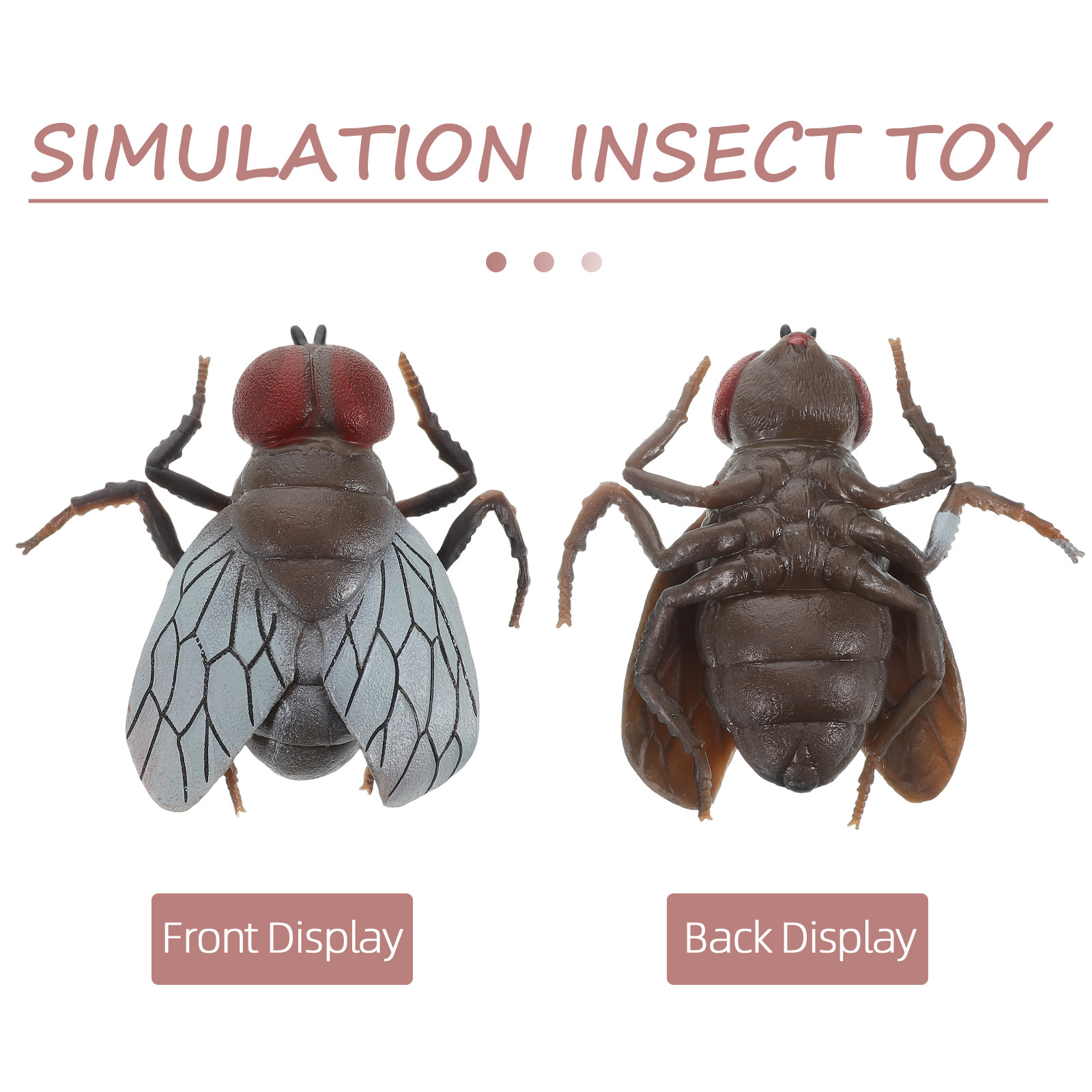 子供向けのリアルなハエのおもちゃ – 生物のライフサイクルを - Prank Toys のレビューと価格